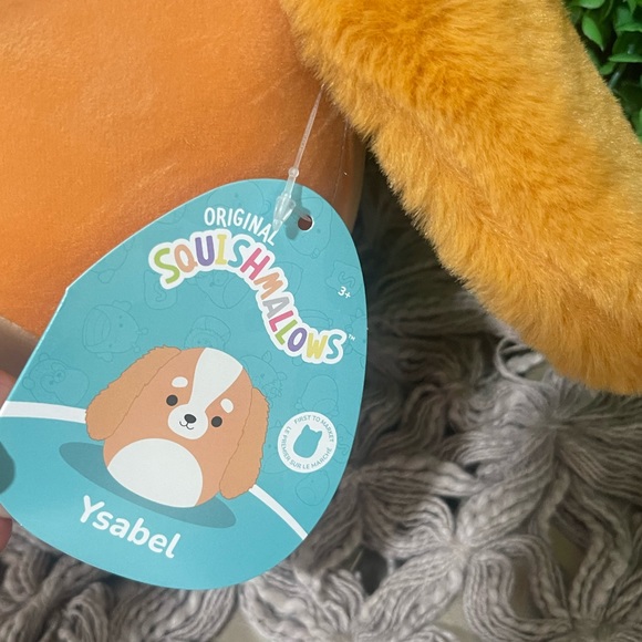NWT Ysabel the Cocker Spaniel FIRST TO MARKET Squishmallows 7" - Picture 3 of 6